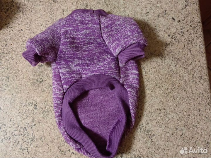 Одежда для собак