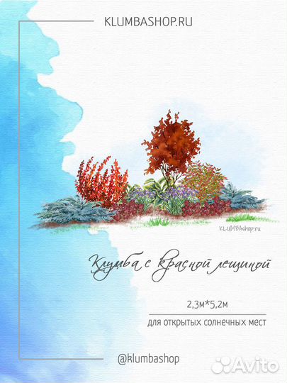 Клумба серебристо-красная