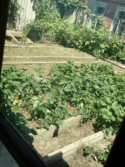 Дом 82,6 м² на участке 3 сот.