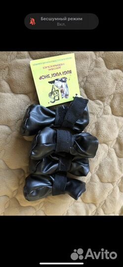 Ботинки для маленьких собак