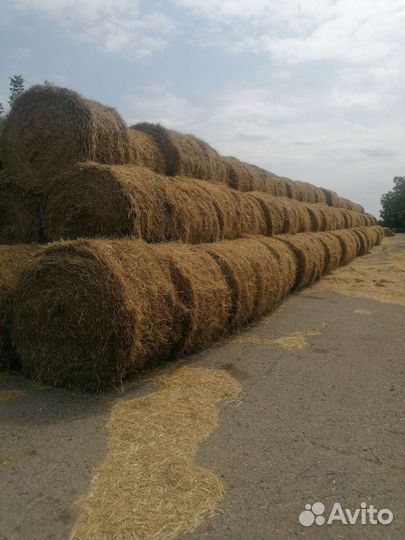 Солома в рулонах