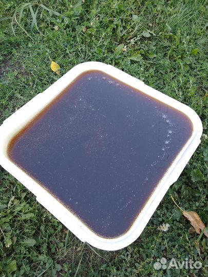 Мед с Алтая