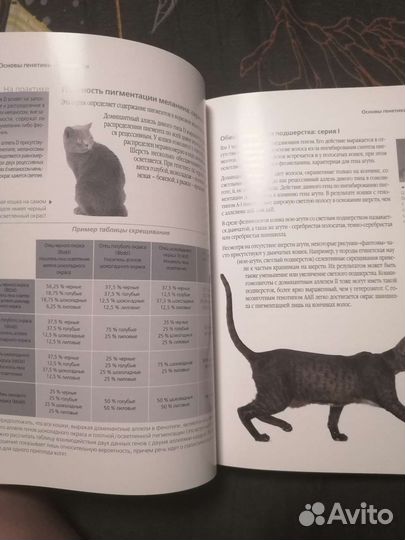 Книга для заводчиков кошек