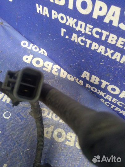 Проводка подкапотная Ssangyong Actyon New