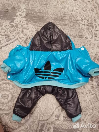 Одежда для маленьких собак s