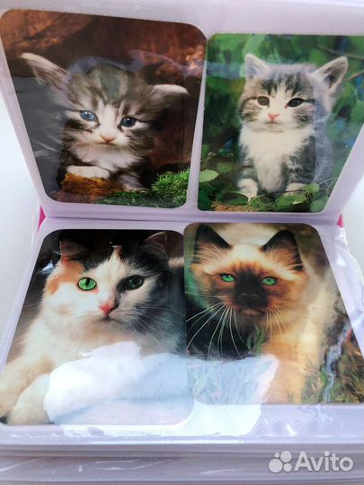 Коллекция карманных календариков с кошками, 170 шт