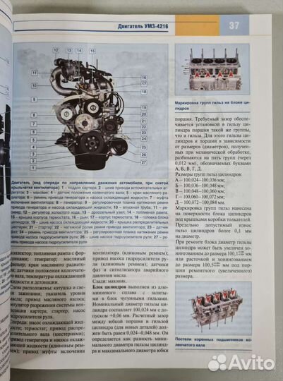 Книга Газель