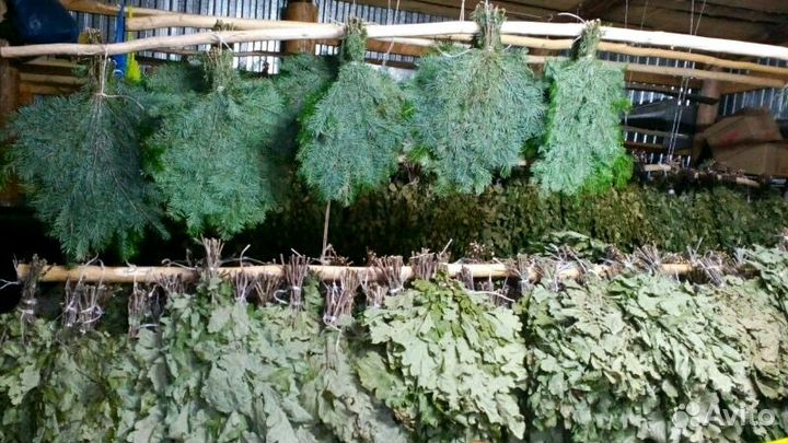 Веники Банные