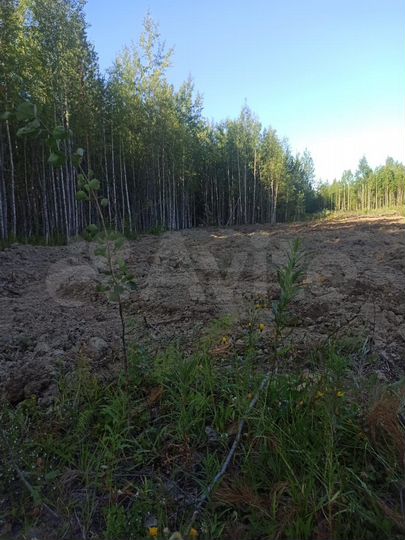 Участок 15 сот. (СНТ, ДНП)