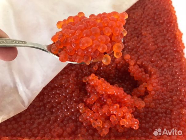 Красная икра оптом