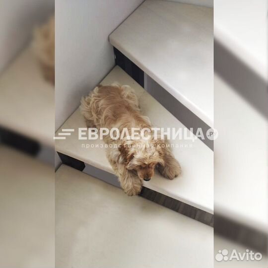 Лестница на металлическом каркасе