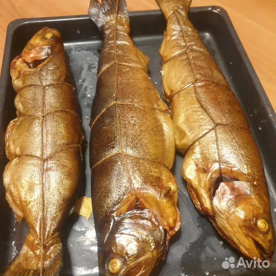 Рыба горячего копчения