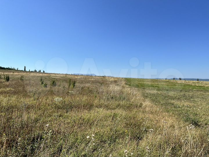 Участок 50 сот. (СНТ, ДНП)