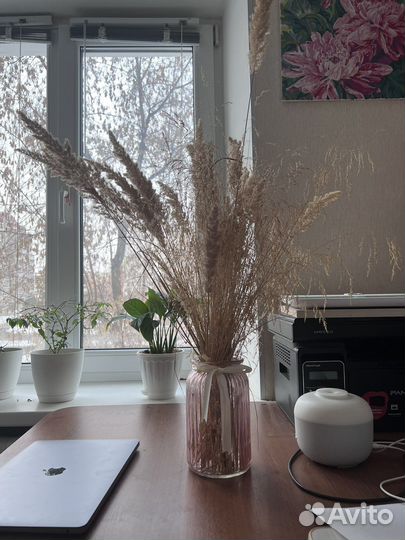 Ваза и сухоцветы