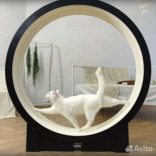 Игровой комплекс для кошек