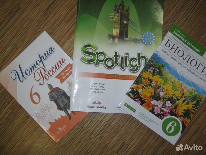 Рабочая тетрадь 6 класс, 6986484, 6984287 и 111