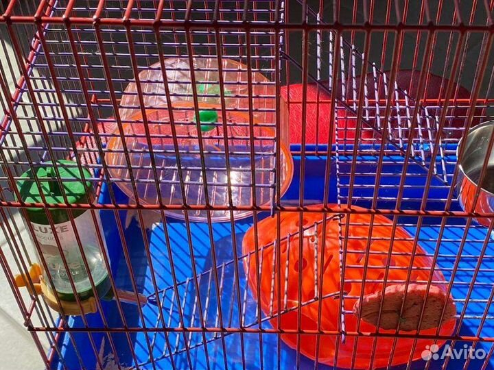 Клетка для грызунов бу