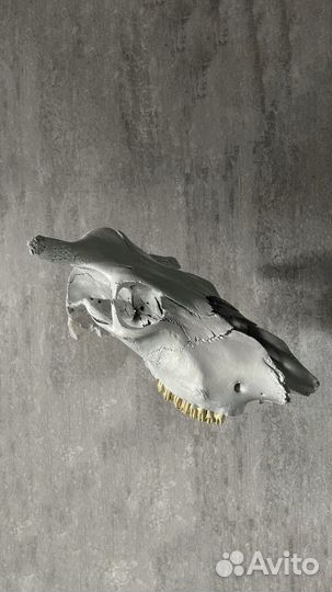 Череп на стену,loft декор