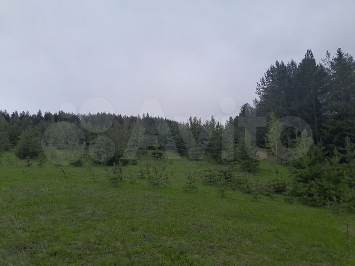 Участок 5 га (СНТ, ДНП)