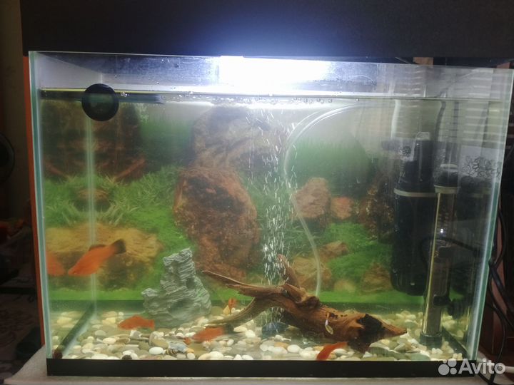 Аквариум