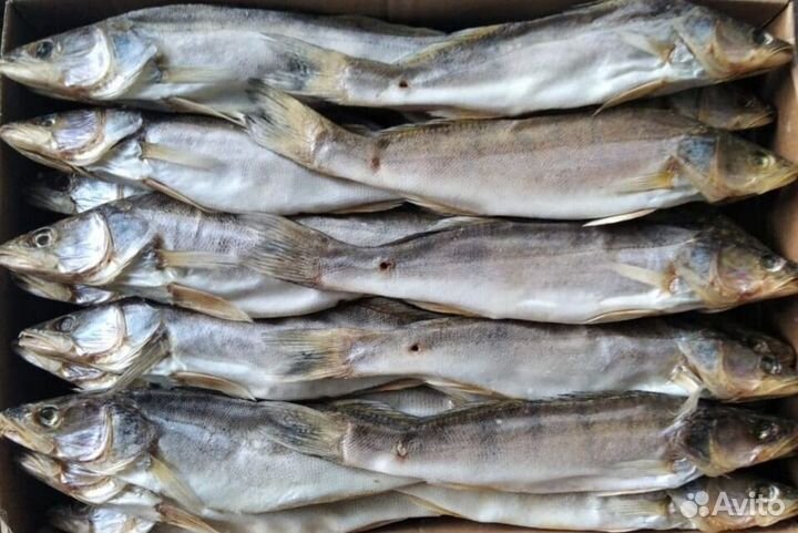 Рыба оптом вяленая и копченая, рыбные снеки