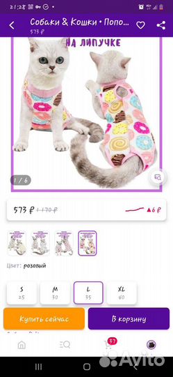 Попона для кошек