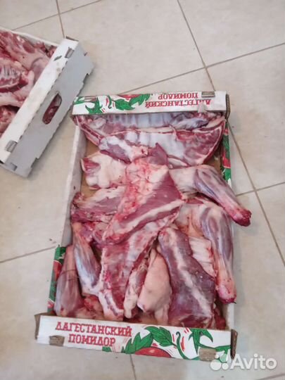 Мясо баранина