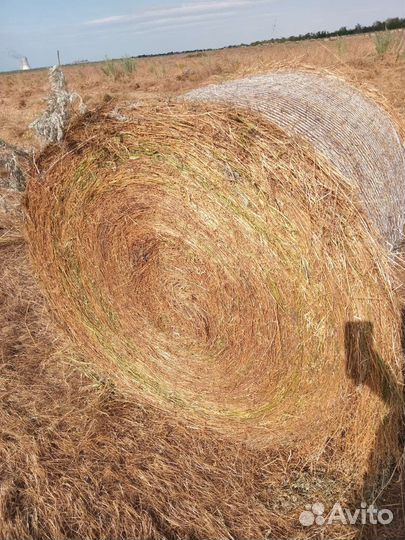 Сено в рулонах