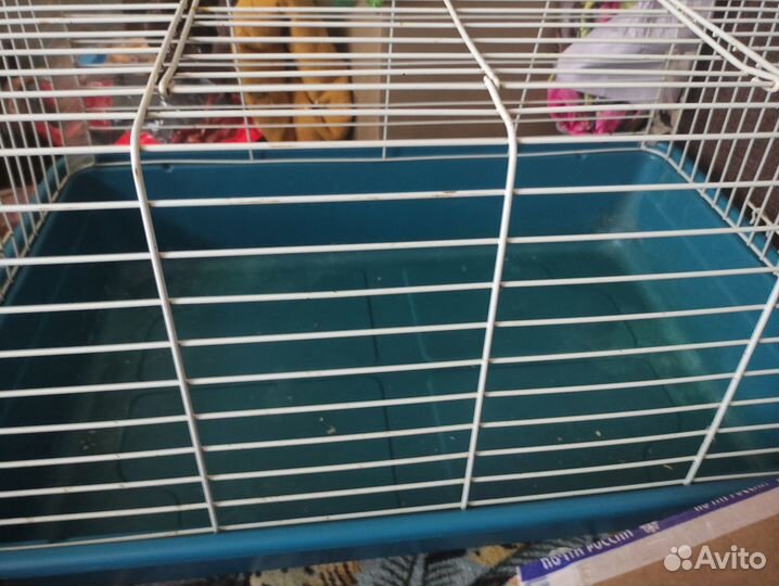 Клетка, колесо, мешочки