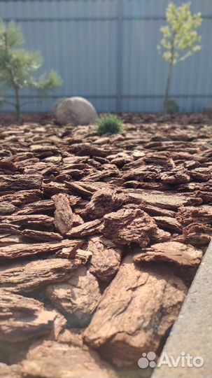 Мульча кора лиственницы