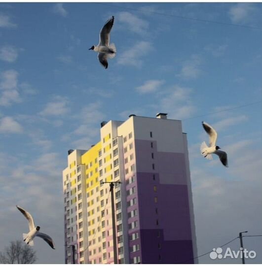 Зеркальный фотоаппарат