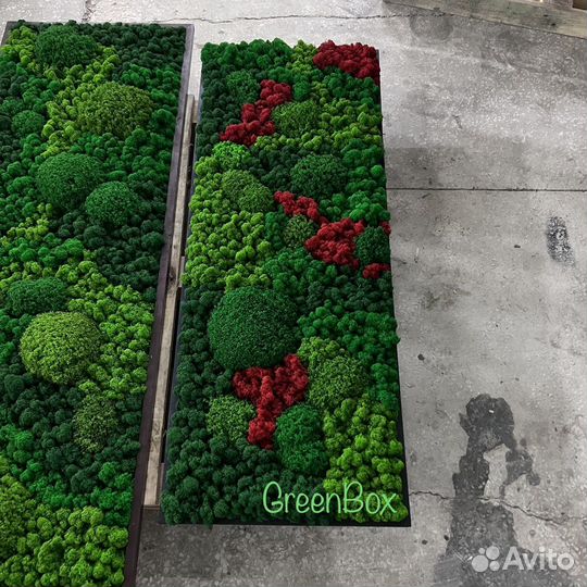 Панно из мха 140*55см