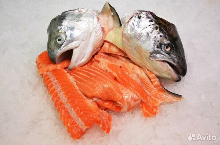 Суповой набор для ухи (Семга)