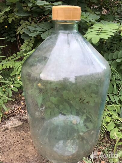 Бутыль банки