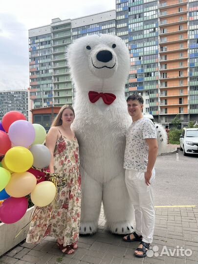 Поздравление от белого медведя