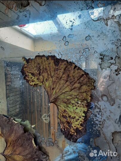 Состаренные зеркала