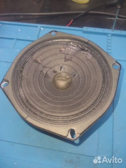 Динамик Roland W120FP70-00