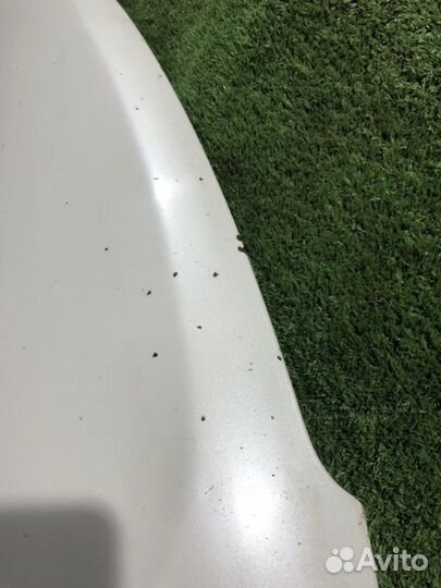 Капот Nissan Avenir PNW11 1998