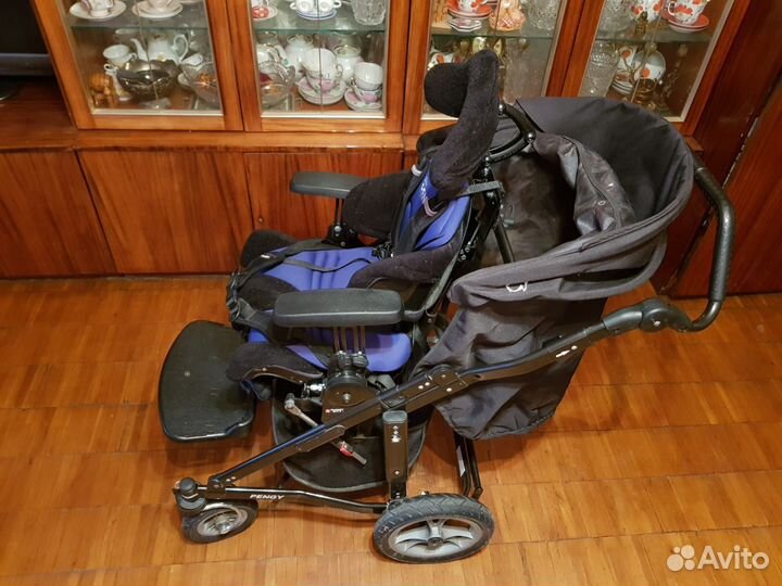 Прогулочная коляска для детей с дцп Zitzi Pengy