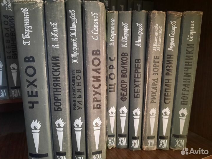 Книги из серии жзл