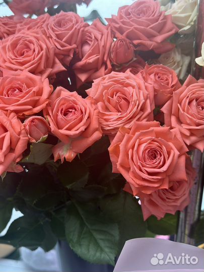 Обучение на флориста