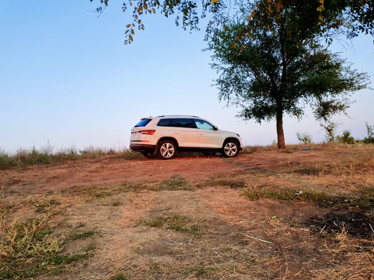 Skoda Kodiaq: фото владельца