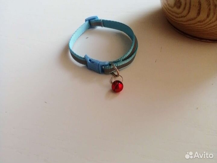 Ошейник с бубенчиком