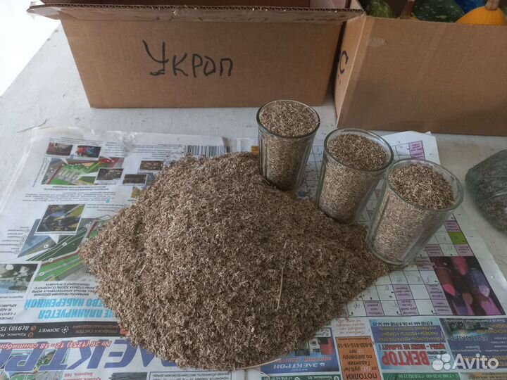 Семена укропа и календулы