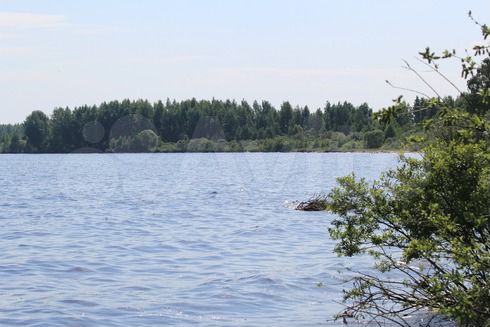 Участок 12 сот. (ИЖС)