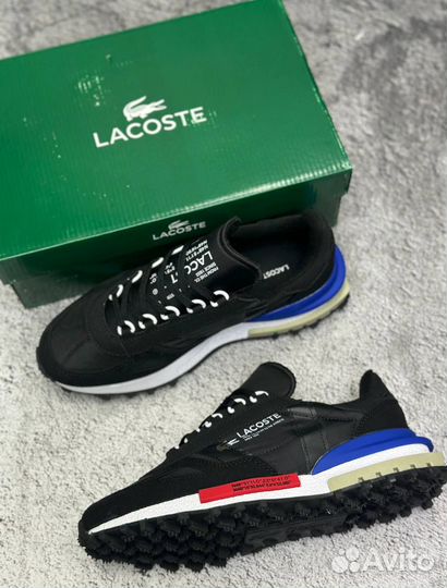 Кроссовки lacoste мужские