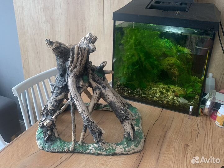 Для аквариума