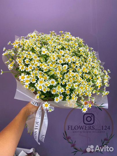 Ромашки от Flowers124 цветы