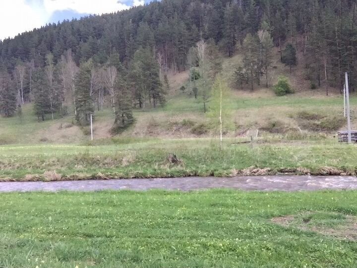 Участок 57 сот. (СНТ, ДНП)