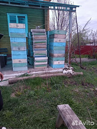 Продам ульи для пчел